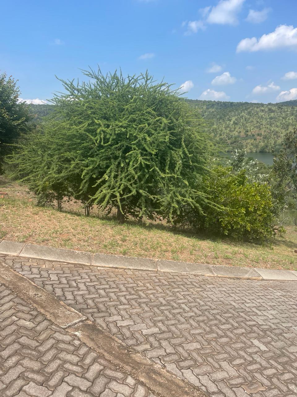 Stunning 1090m2 Stand for Sale in Fish Eagle, Belabela!